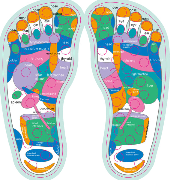 BetaFlex Acupressure Points Leg Stretch Board and Foot Rest